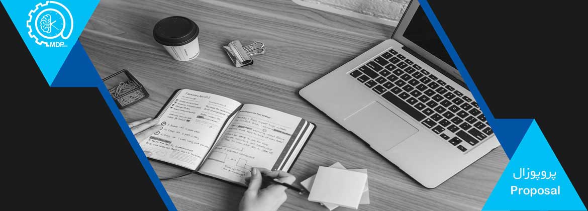 PROPOSAL WRITING  17 